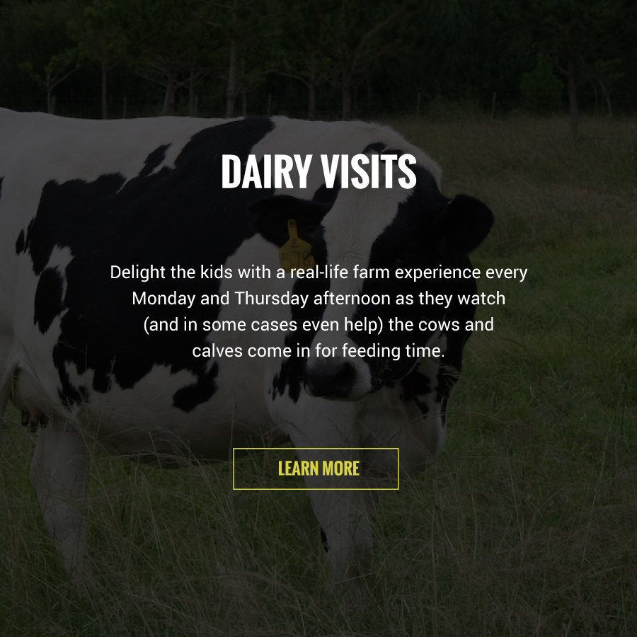 Dairy Visits