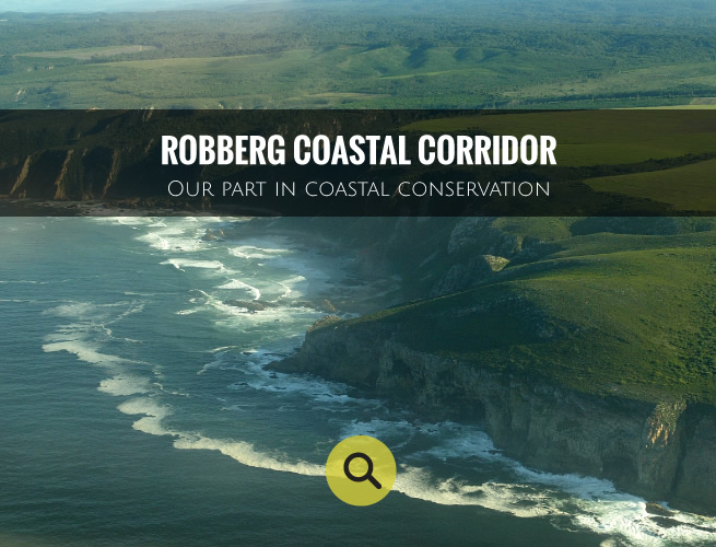 robberg-coastal-corridor